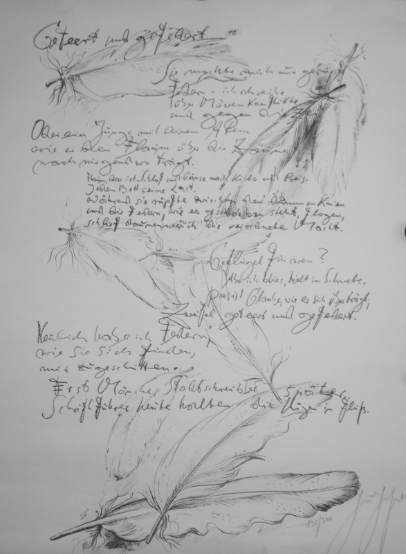 Günter Grass, geteert und gefedert (Lithographie), 1981