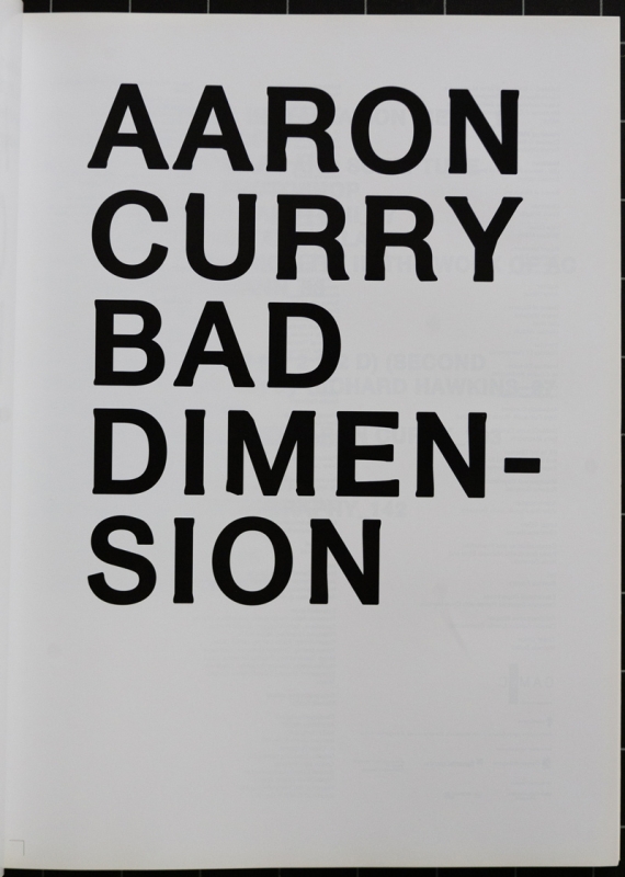 Aaron Curry, Bad Dimension